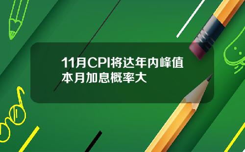 11月CPI将达年内峰值本月加息概率大