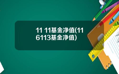 11 11基金净值(116113基金净值)