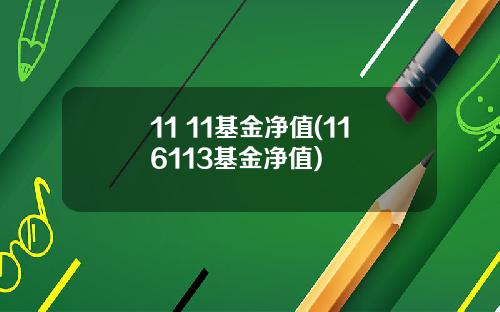 11 11基金净值(116113基金净值)