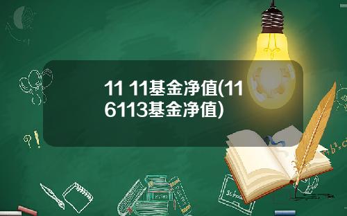 11 11基金净值(116113基金净值)