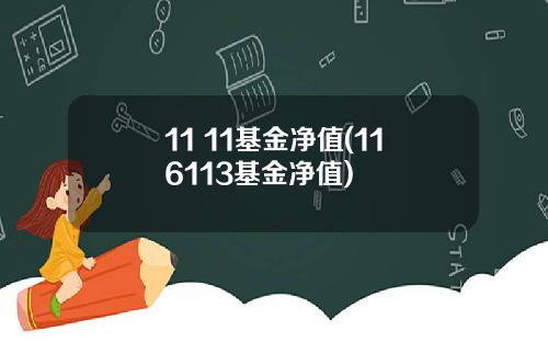 11 11基金净值(116113基金净值)