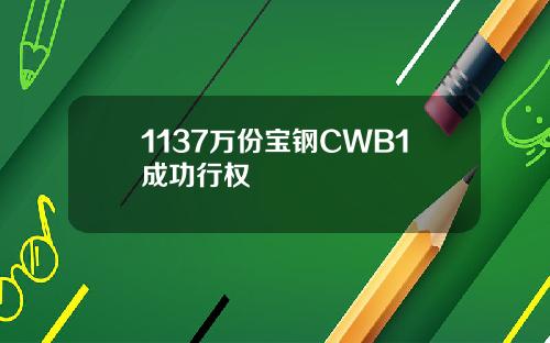 1137万份宝钢CWB1成功行权