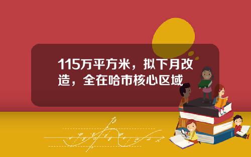 115万平方米，拟下月改造，全在哈市核心区域