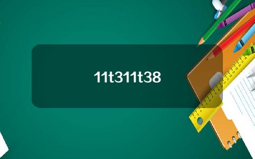 11t311t38