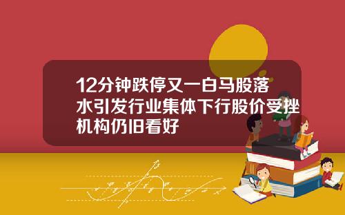 12分钟跌停又一白马股落水引发行业集体下行股价受挫机构仍旧看好