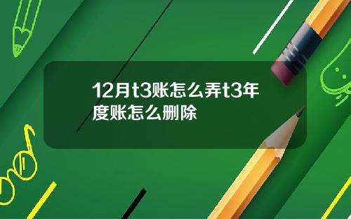12月t3账怎么弄t3年度账怎么删除