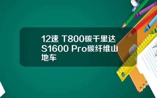 12速 T800碳千里达S1600 Pro碳纤维山地车