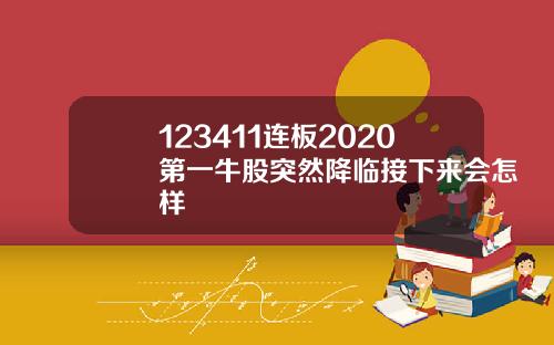 123411连板2020第一牛股突然降临接下来会怎样