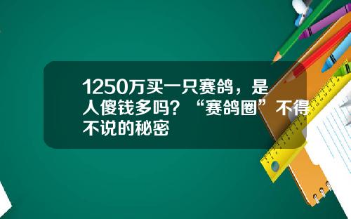 1250万买一只赛鸽，是人傻钱多吗？“赛鸽圈”不得不说的秘密
