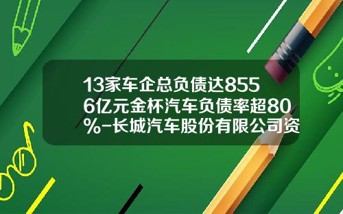 13家车企总负债达8556亿元金杯汽车负债率超80%-长城汽车股份有限公司资产负债表