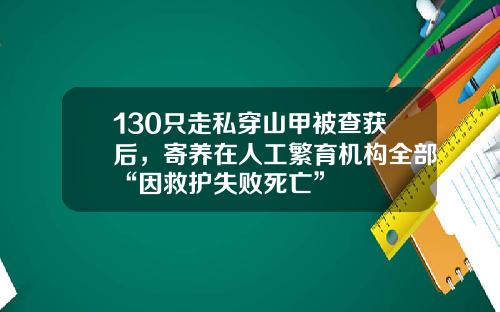 130只走私穿山甲被查获后，寄养在人工繁育机构全部“因救护失败死亡”