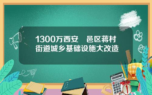 1300万西安鄠邑区蒋村街道城乡基础设施大改造