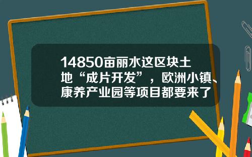 14850亩丽水这区块土地“成片开发”，欧洲小镇、康养产业园等项目都要来了