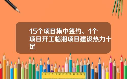 15个项目集中签约、1个项目开工临湘项目建设热力十足