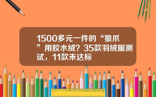 1500多元一件的“狼爪”用胶水绒？35款羽绒服测试，11款未达标