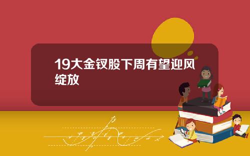 19大金钗股下周有望迎风绽放
