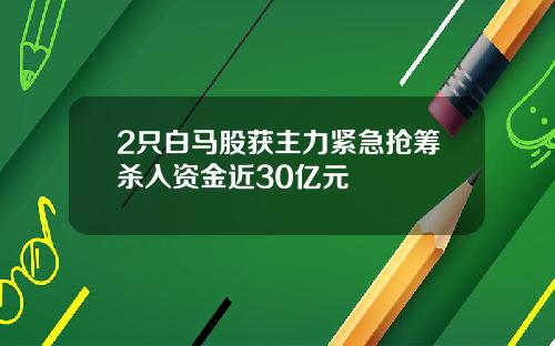 2只白马股获主力紧急抢筹杀入资金近30亿元