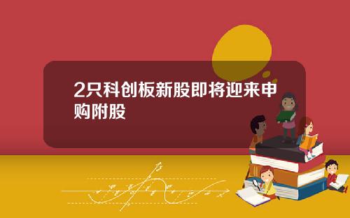 2只科创板新股即将迎来申购附股