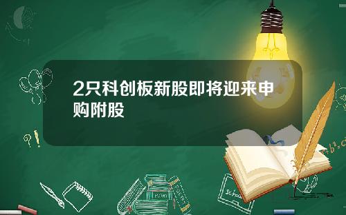 2只科创板新股即将迎来申购附股