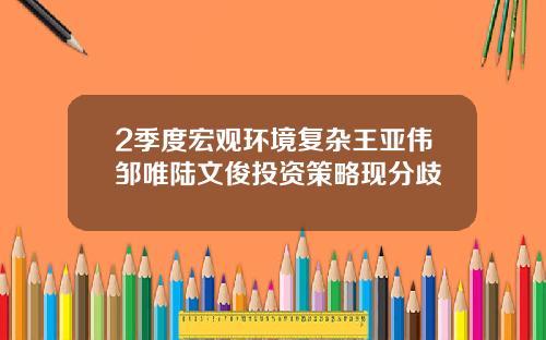 2季度宏观环境复杂王亚伟邹唯陆文俊投资策略现分歧