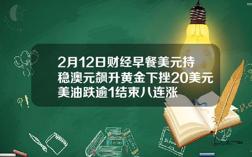 2月12日财经早餐美元持稳澳元飙升黄金下挫20美元美油跌逾1结束八连涨