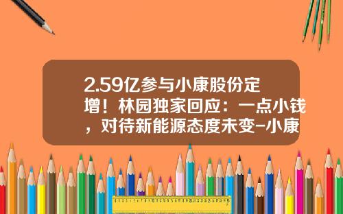 2.59亿参与小康股份定增！林园独家回应：一点小钱，对待新能源态度未变-小康股票资讯