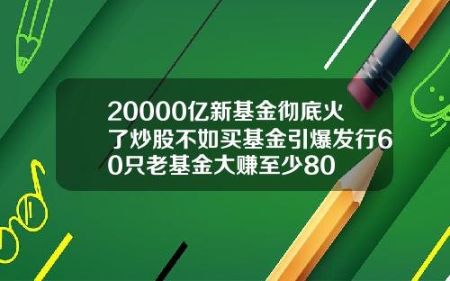 20000亿新基金彻底火了炒股不如买基金引爆发行60只老基金大赚至少80
