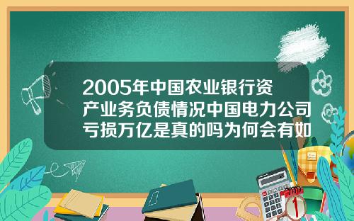 2005年中国农业银行资产业务负债情况中国电力公司亏损万亿是真的吗为何会有如此多的负债.