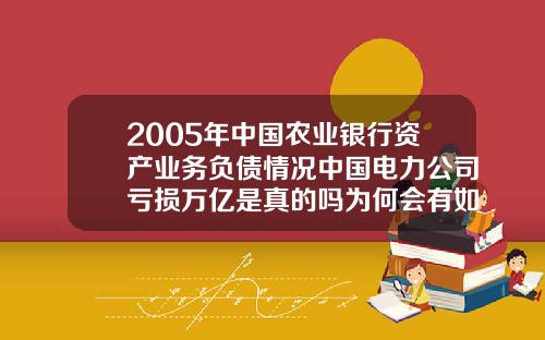 2005年中国农业银行资产业务负债情况中国电力公司亏损万亿是真的吗为何会有如此多的负债