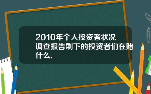 2010年个人投资者状况调查报告剩下的投资者们在赌什么.