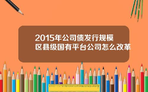 2015年公司债发行规模区县级国有平台公司怎么改革