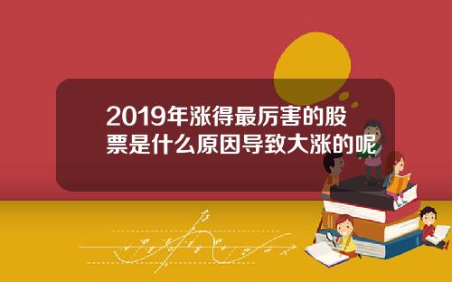 2019年涨得最厉害的股票是什么原因导致大涨的呢