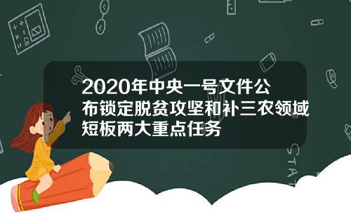 2020年中央一号文件公布锁定脱贫攻坚和补三农领域短板两大重点任务