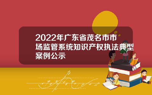2022年广东省茂名市市场监管系统知识产权执法典型案例公示