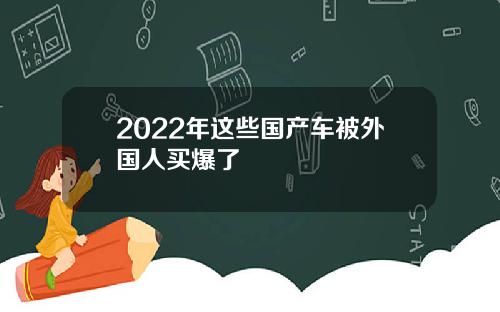 2022年这些国产车被外国人买爆了