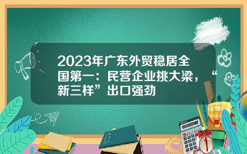 2023年广东外贸稳居全国第一：民营企业挑大梁，“新三样”出口强劲