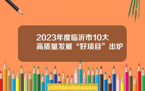 2023年度临沂市10大高质量发展“好项目”出炉