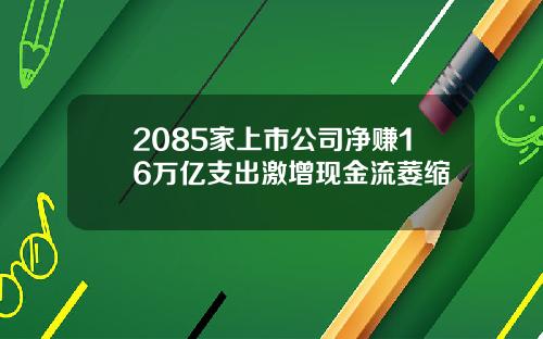 2085家上市公司净赚16万亿支出激增现金流萎缩