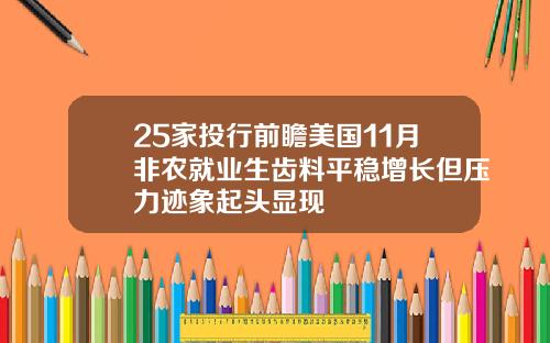25家投行前瞻美国11月非农就业生齿料平稳增长但压力迹象起头显现