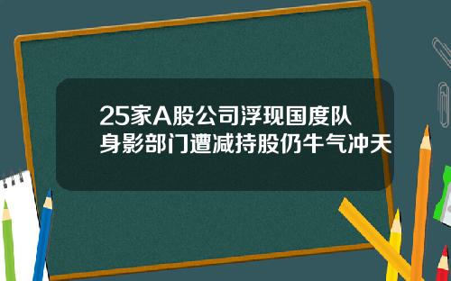 25家A股公司浮现国度队身影部门遭减持股仍牛气冲天