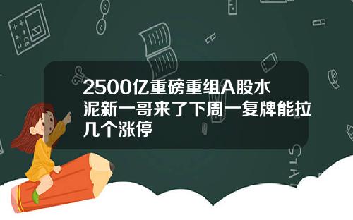 2500亿重磅重组A股水泥新一哥来了下周一复牌能拉几个涨停