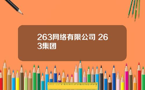 263网络有限公司 263集团