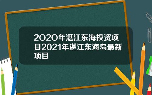 2O2O年湛江东海投资项目2021年湛江东海岛最新项目