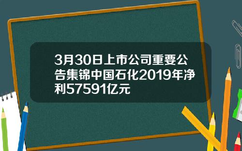 3月30日上市公司重要公告集锦中国石化2019年净利57591亿元