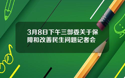 3月8日下午三部委关于保障和改善民生问题记者会