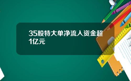 35股特大单净流入资金超1亿元