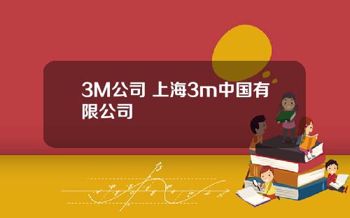 3M公司 上海3m中国有限公司
