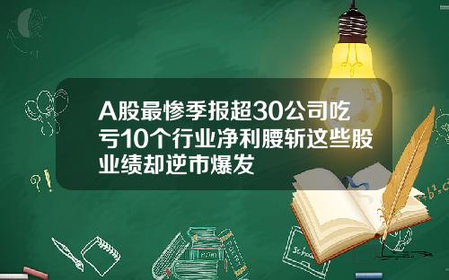 A股最惨季报超30公司吃亏10个行业净利腰斩这些股业绩却逆市爆发