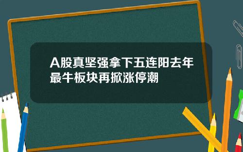 A股真坚强拿下五连阳去年最牛板块再掀涨停潮