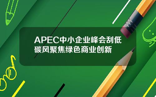 APEC中小企业峰会刮低碳风聚焦绿色商业创新